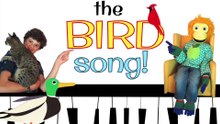 The Bird Song! Sing- Along Songs!