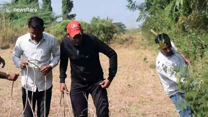 Huge crocodile rescued from deep well in northern India