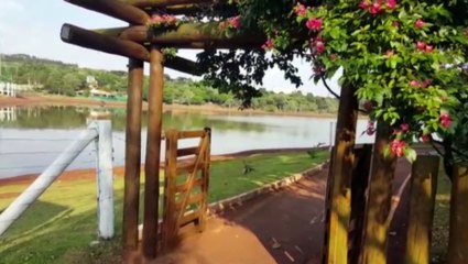 Novo aparecimento de onça: Lago Municipal amanhece aberto e algumas pessoas 'se arriscam' em caminhada