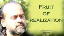 Acharya Prashant: Implementation is the fruit of realisation