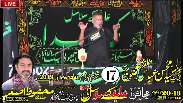 Zakir Syed Mohsin Rizvi Muzafar Gar 17th Muharam 1441 2019 Choti Behak Hafizabad