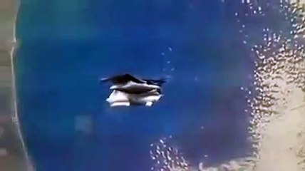 Satéline Alienígena Black Knight de 13.000 anos ronda o espaço