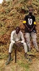 Detresse dans le monde rural: Le cri de coeur d'un   vieux paysan...