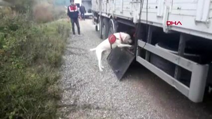 Antalya'da 3,5 milyon lira değerinde uyuşturucu ele geçirildi