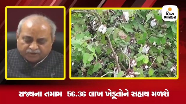 ગુજરાતના 56.36 લાખ ખેડૂતો માટે રૂ. 3795 કરોડનું પેકેજ