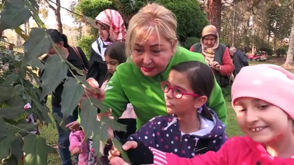 Tatillerini doğa ile iç içe bir gün geçirerek tamamladılar - YALOVA