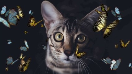 7 Amazing Tips for Great Portrait Photographs | PhotoCube