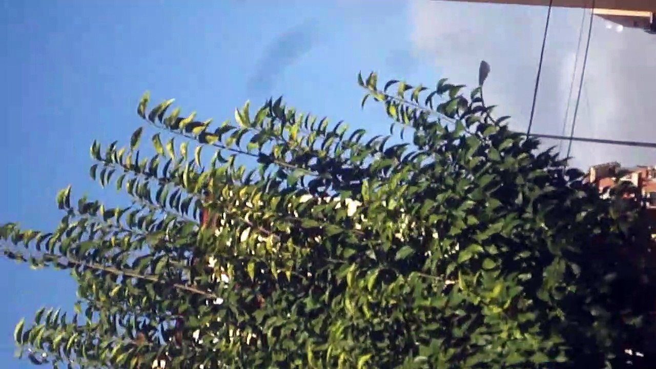 2019-11-05 Ataques moderados en un cielo con ganas