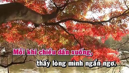 Karaoke Yêu Một Mình - Cẩm Ly Beat