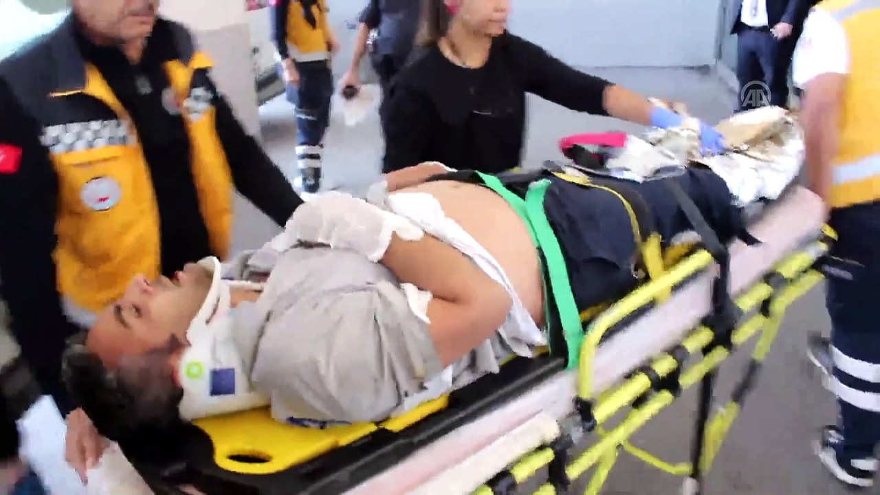 Kozalak toplamak için ağaca çıkan kişi elektrik akımına kapılarak yaralandı - ADANA