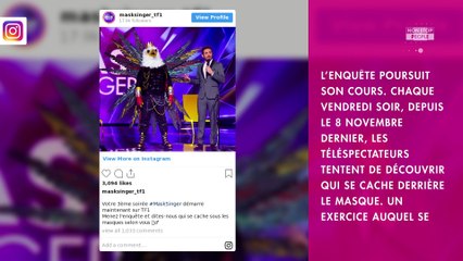 Mask Singer : Lio et Smaïn démasqués, les internautes s’insurgent