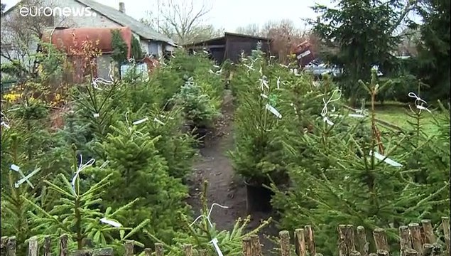 Lituania alquila árboles de Navidad para frenar la tala