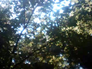 Moja Piesczotka instrumental no melody