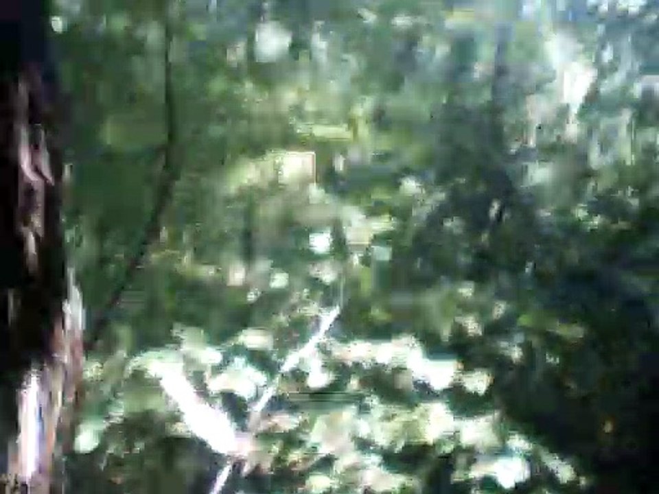 Moja Piesczotka vocals