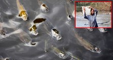 Manisa'da yüzeye çıkan balıkları tutan vatandaşlara uyarı: Bu balıkları yemeyin