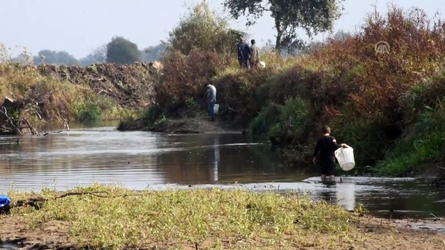 Gediz Nehri'nde su seviyesi düşünce elleriyle balık tuttular - MANİSA