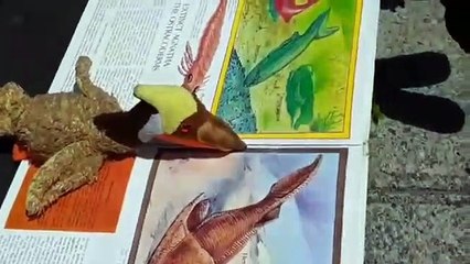 Tackys Library Adventure! - Project Discover West Warwick