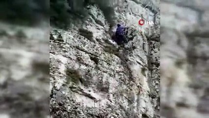 Mahsur kalan keçiler AFAD tarafından kurtarıldı