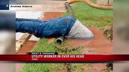 Esto es un currante y lo demás son coñas