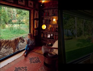 شاهد: في هذا المكان يمكنك قضاء ليلة آمنة بالقرب من الأسود والنمور