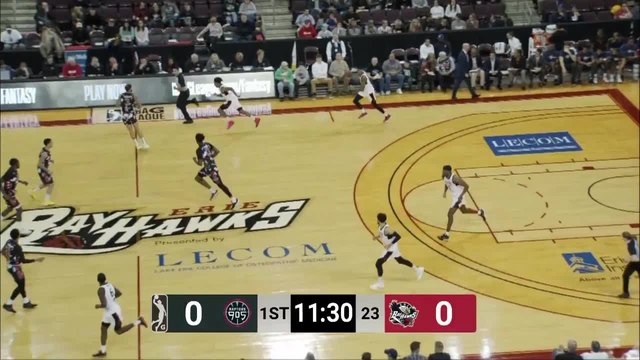 Tyler Ennis (29 points) Highlights vs. Erie BayHawks