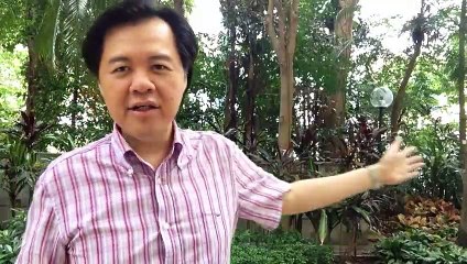 How To Be Happy Today - Dr Willie Ong Health Blog