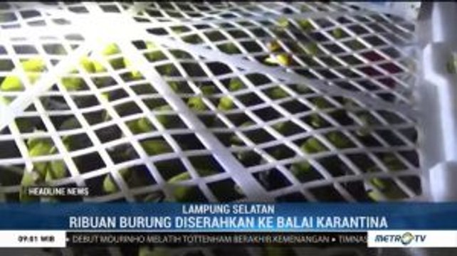 Petugas Gagalkan Penyelundupan Ribuan Burung ke Jakarta