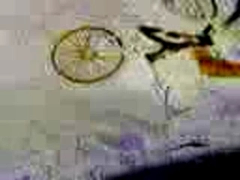 Karim nadi des iris de manet 13014 ronge le sol