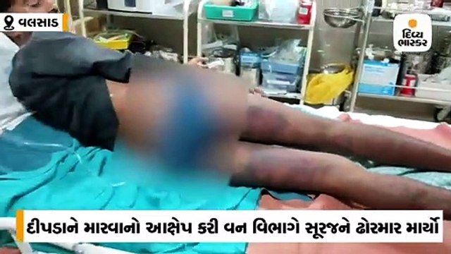 દીપડાને માર્યો હોવાની શંકા રાખી વનવિભાગે ઢોરમાર માર્યો, કંટાળીને સૂરજે કચેરીના બાથરૂમમાં જ એસિડ ગટગટાવ્યું