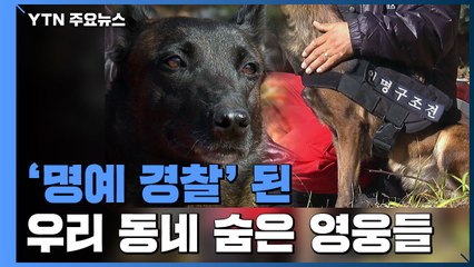 실종자 4명 가족 품으로...우리 동네 '명예 경찰' / YTN