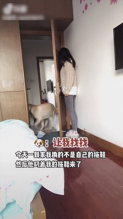 搞笑短视频合集mbx分享5