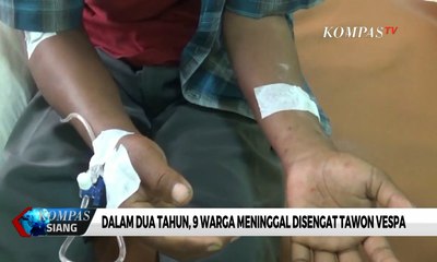 Disengat Tawon Vespa, Warga Dirawat di Rumah Sakit