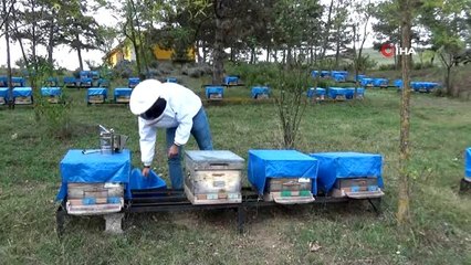 Okulu bitmeden üretime başladı...Hem okuyor hem üretiyor