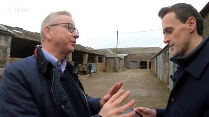 Michael Gove interview on truth, lies and Brexit - HFNews