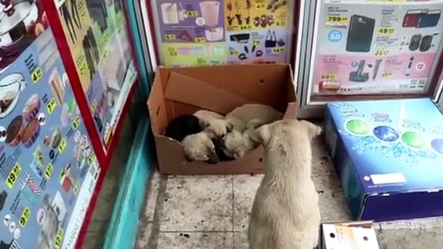 Doğu Anadolu'da soğuk hava etkili oluyor - ARDAHAN