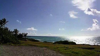 Timelapse video Tropics - Samsung Phone Camera