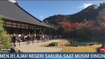 Tips Liburan Murah ke Jepang