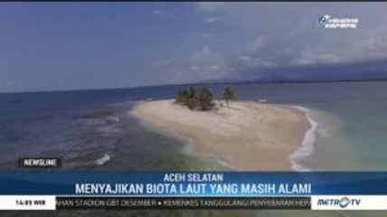 Wisata Bahari Pulau Pusong Ujung Mangki