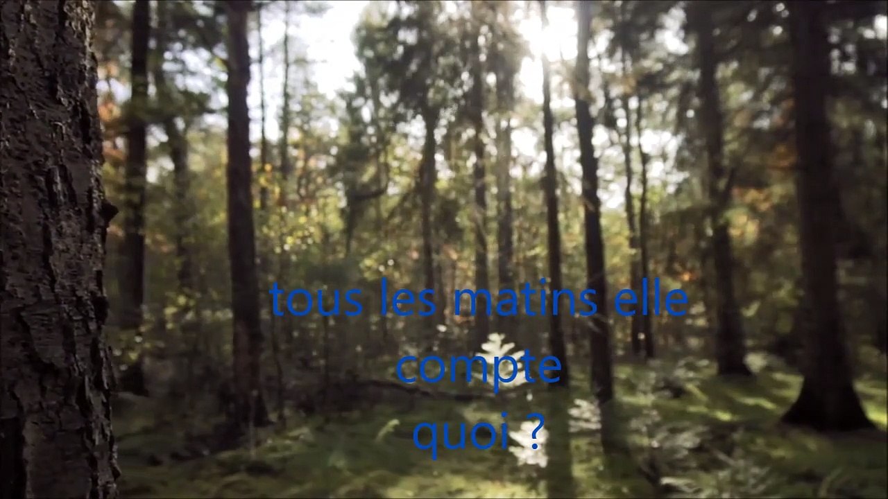 Mon Petit Coeur Imbécile par Niranjanee