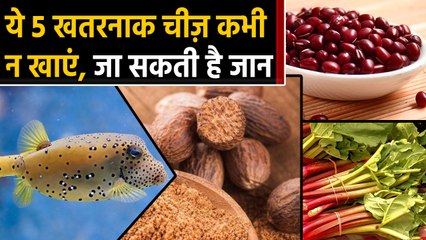 Puffer Fish, Red Soyabean, Jaifer, Casu Marzu and these 5 things dangerous for health | Boldsky