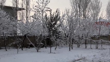 Başkale'de kar yağışı - VAN