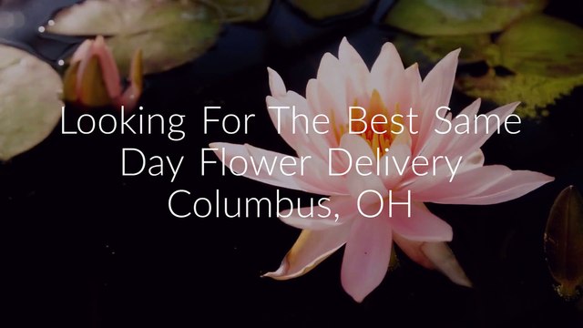 Same Day Flower Delivery Columbus | Call :- 614-902-478