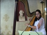 Ensemble Orchestral des Alpes de la Mer (musiciens en Duo)