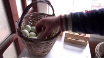Bursa ürettiği renkli yumurtalarla, çocukların ilgisini çekiyor