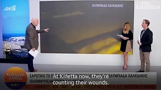 Un cochon poursuit un journaliste Grec en plein reportage en direct.