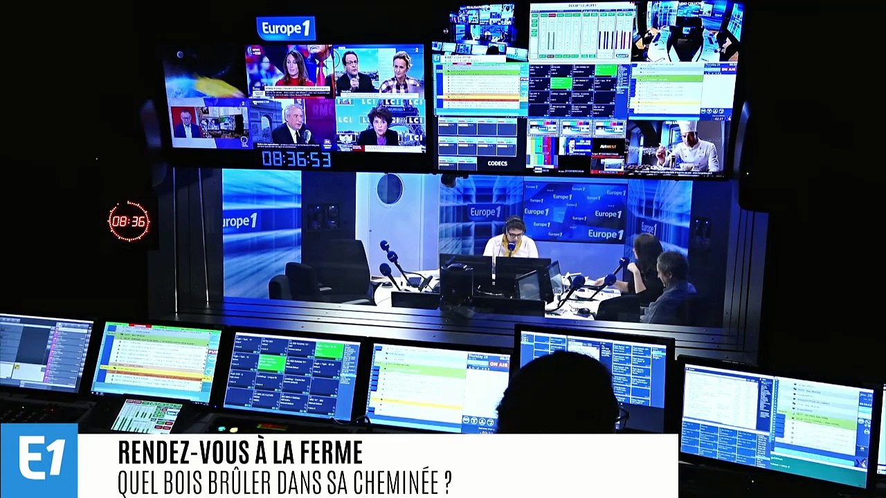 Feux de cheminée : il ne faut pas brûler n’importe quel bois !