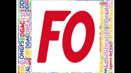 FEETS de l'inFO novembre 2019