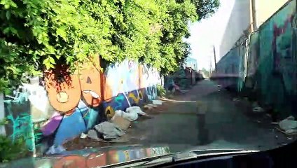 SOUTH CENTRAL LOS ANGELES HOODS