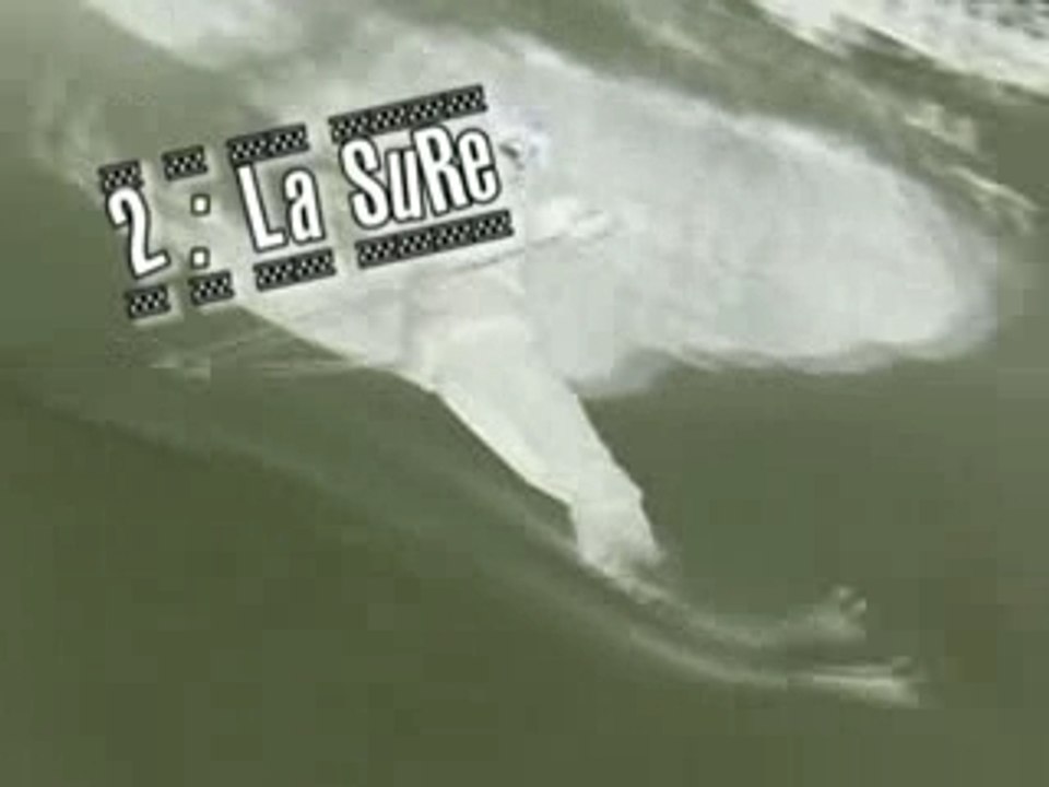 The perl project autrans 2008