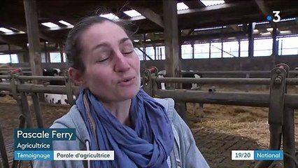 Agriculture : témoignage d'une exploitante face à l'"agribashing"